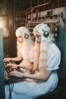 Albino Twins Experiments 038